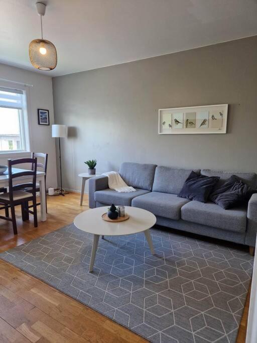 Apartment In Downtown Reikiavik Exterior foto